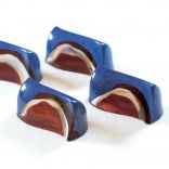 Полікарбонатна форма для шоколадних цукерок «Прямокутна фігурна» Pavoni PC48 (42×21 мм), 21 комірка